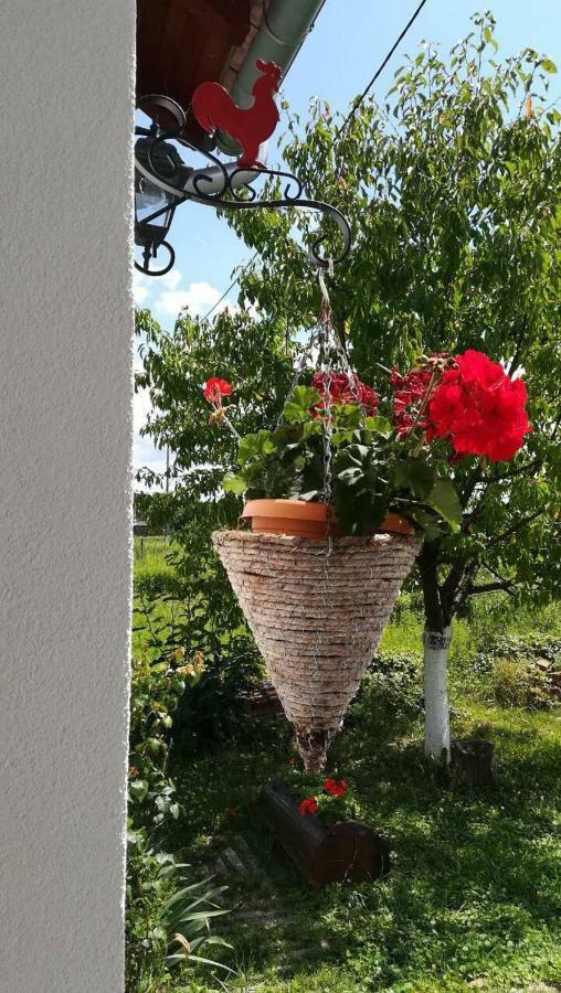 Kuca Za Odmor "Dva Srca" Hotel Ceminac Exterior foto
