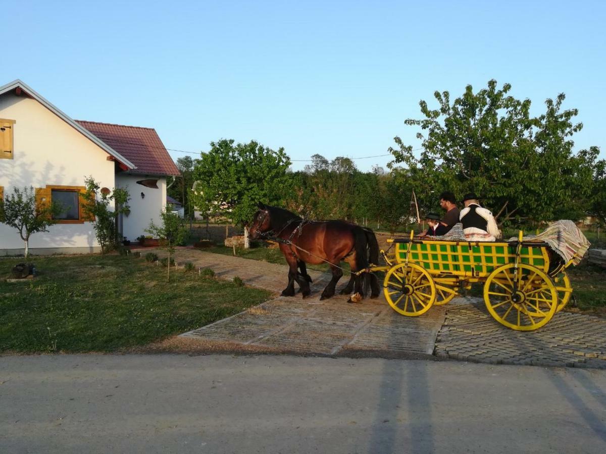 Kuca Za Odmor "Dva Srca" Hotel Ceminac Exterior foto
