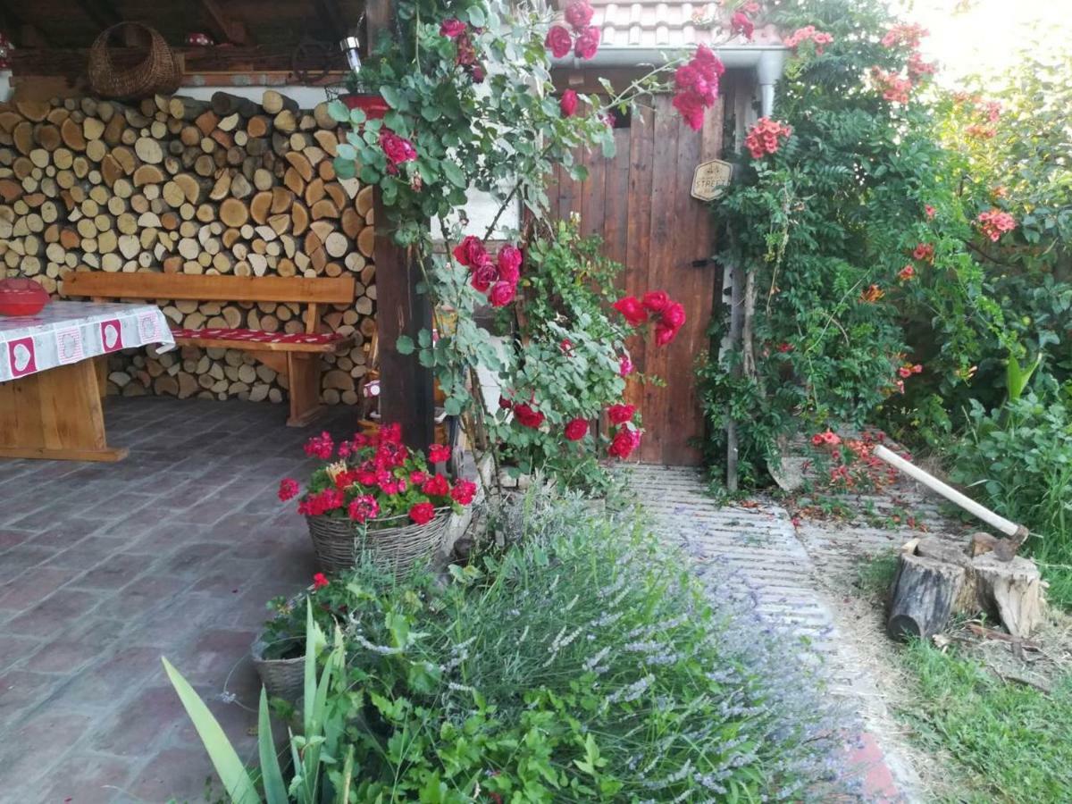 Kuca Za Odmor "Dva Srca" Hotel Ceminac Exterior foto